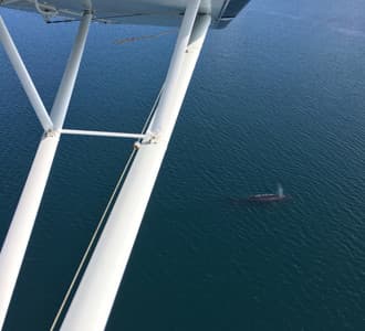 Anchorage Air Tour - Prince William Sound