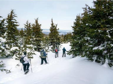 Anchorage: Heli Snowshoe Adventure — photo 4