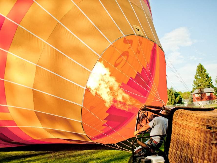 Avian Balloon Co