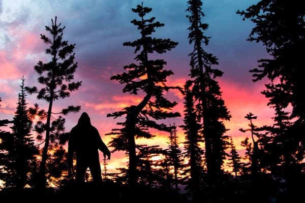 Bigfoot & Sasquatch Helicopter Tour