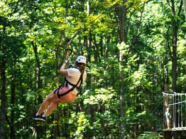 Charlotte Zipline and Dine — photo 2