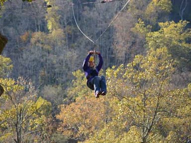Cincinnati Night Zipline Adventure — photo 1