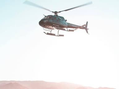 Coastal Helicopter Tour from Long Beach — photo 1