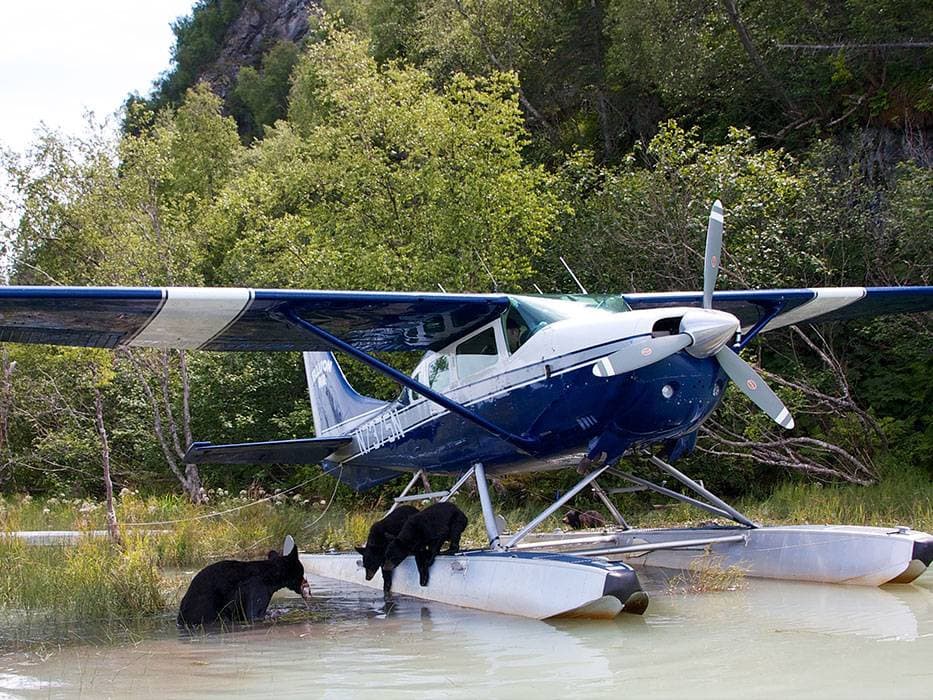 Ellison Air - Local Seaplane Tour