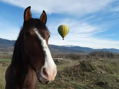 Exclusive Pyrenees Hot Air Balloon Barcelona — photo 3