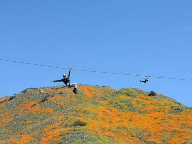Extreme Zipline Course