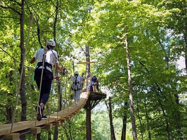 Grafton Zipline — photo 2