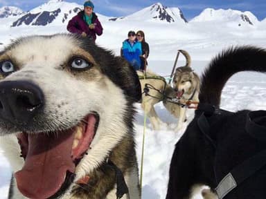 Helicopter and Glacier Dogsled Tour — photo 1