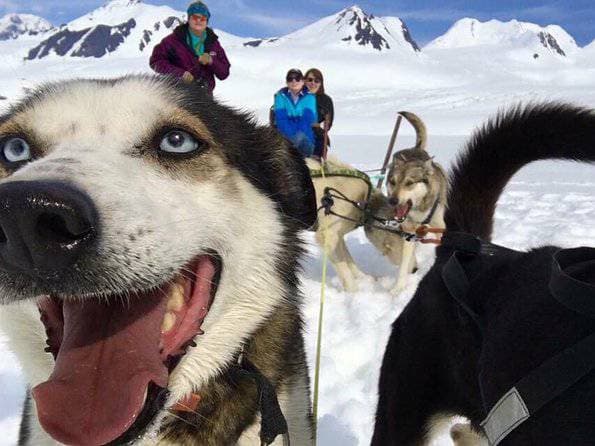 Helicopter and Glacier Dogsled Tour