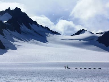 Helicopter Glacier Dogsledding - Seward — photo 2