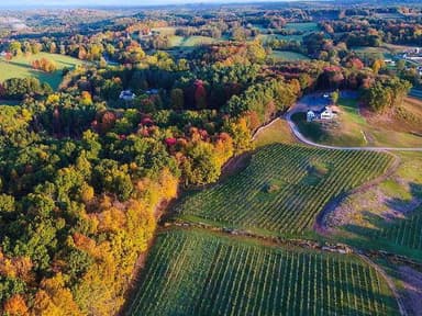 Hudson Valley VIP Vineyard Tour — photo 2