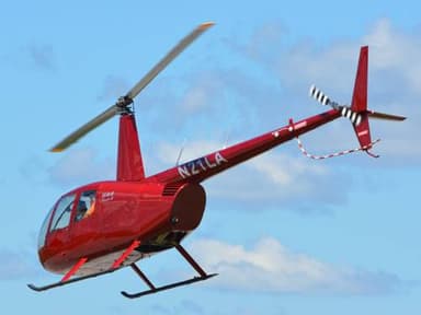 Indianapolis Scenic Helicopter Tour — photo 2