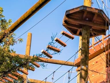 Kapolei Zipline & Adventure Tower Package — photo 1