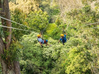 Kohala Canopy Adventure — photo 1