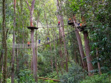 Kohala Zip and Dip — photo 1