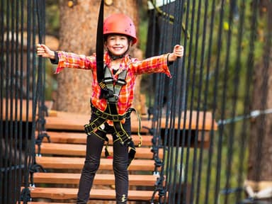 Lake Tahoe Vista Treetop — photo 1