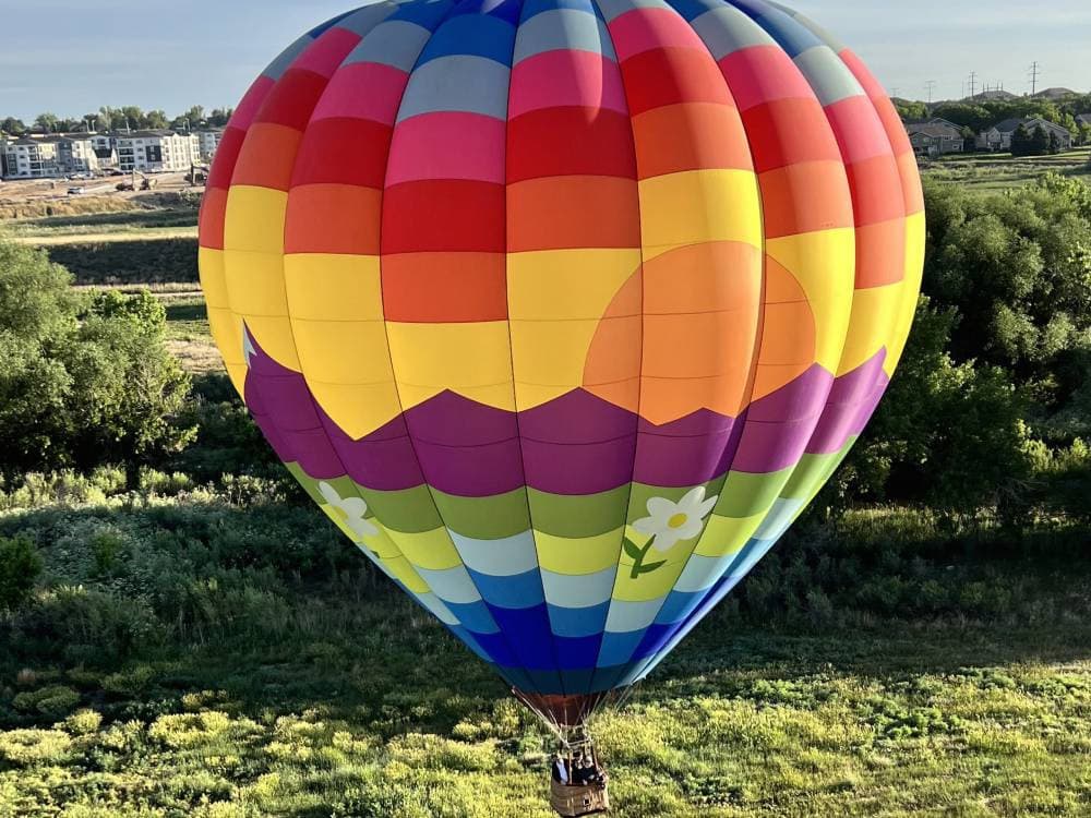 Life Cycle Balloon Adventures