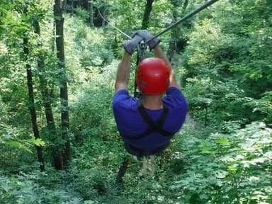 Madison Zipline Canopy Tour — photo 2