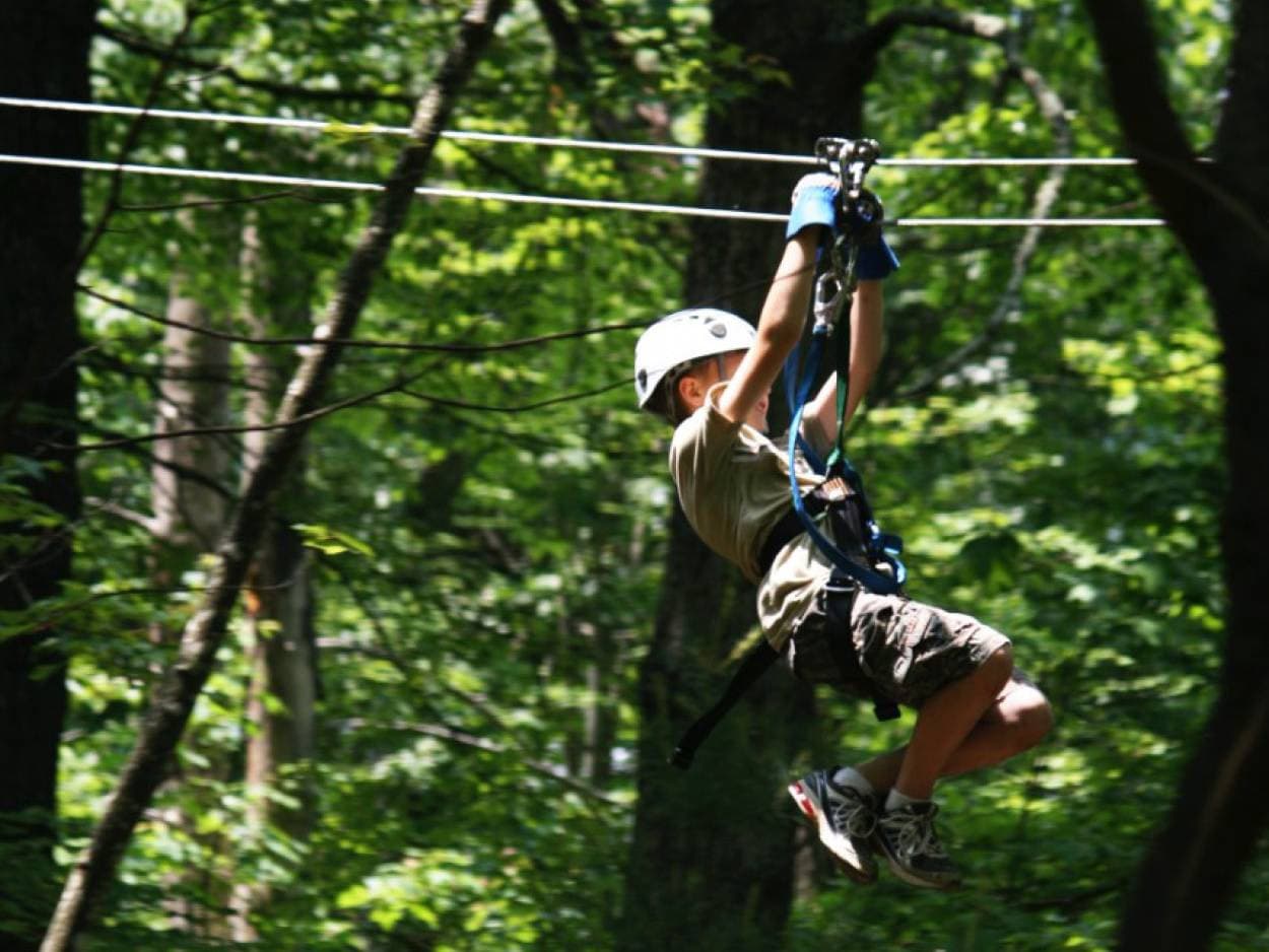 Mama Bear Zip Line Canopy Tours