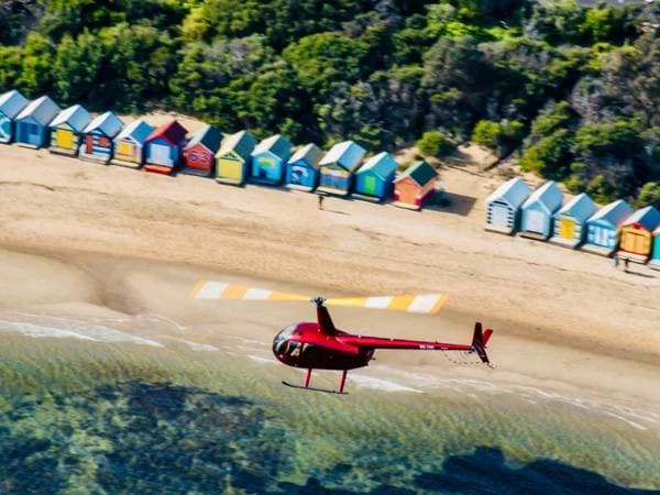 Melbourne City, Beaches & Coastal Adventure