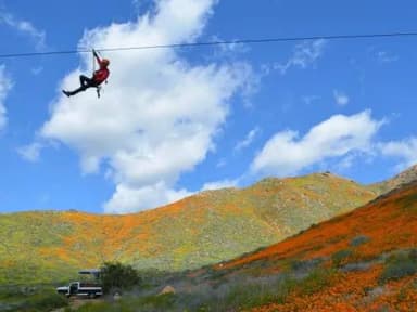 Monster Zipline Course — photo 1