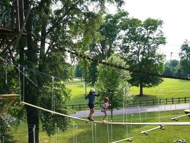 Morganton Zip Line Tour — photo 1