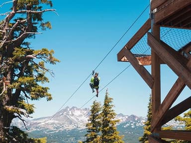 Mt. Bachelor Zip Tour — photo 1