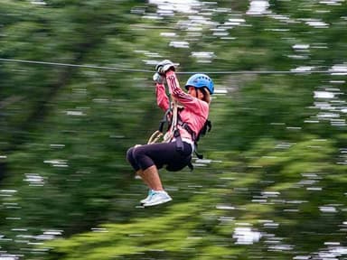 Oberlin Zipline Canopy Tour — photo 2