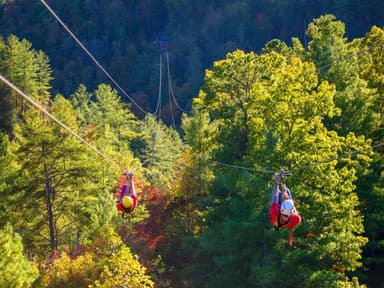 Red River Gorge Zipline — photo 1