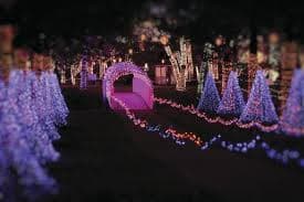 Rhema Christmas Light Helicopter Ride — photo 1