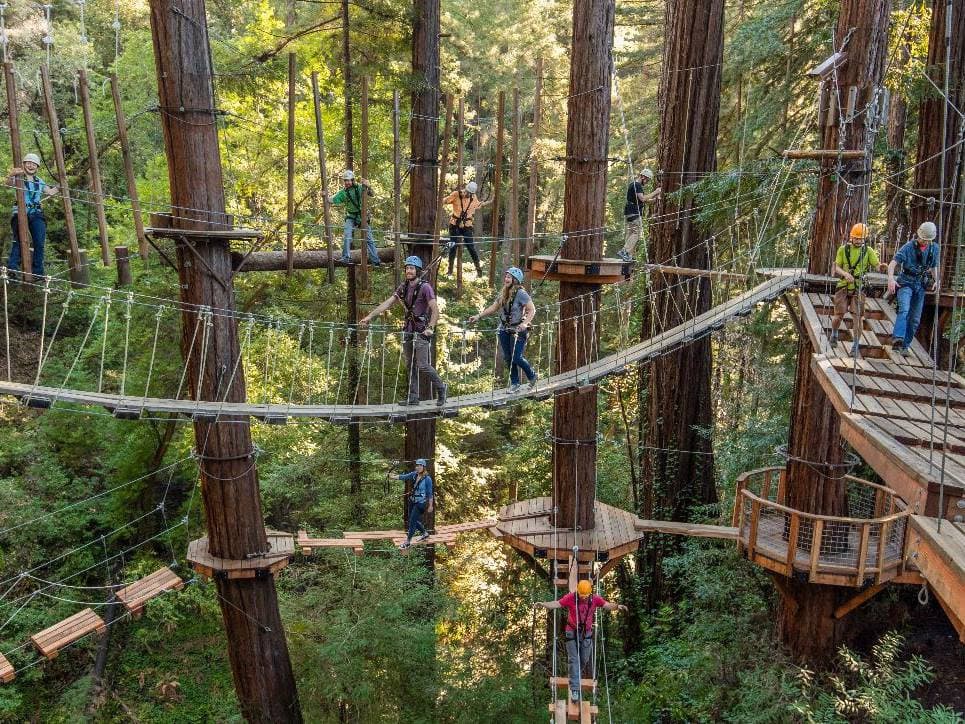 Sequoia Aerial Adventure