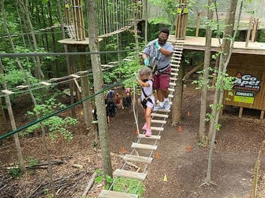 Springfield Treetop Adventure — photo 1