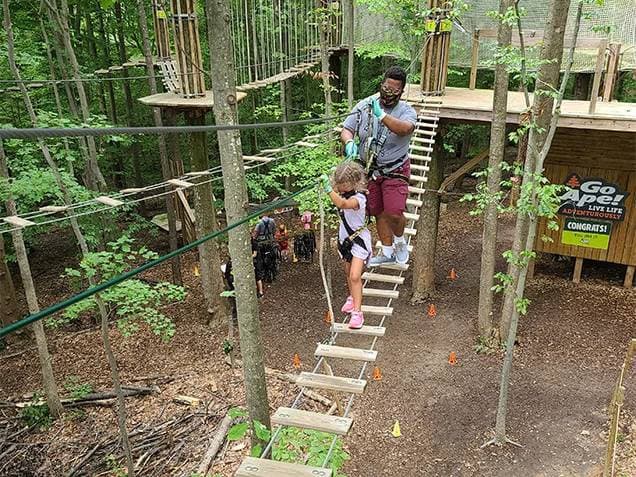 Springfield Treetop Adventure