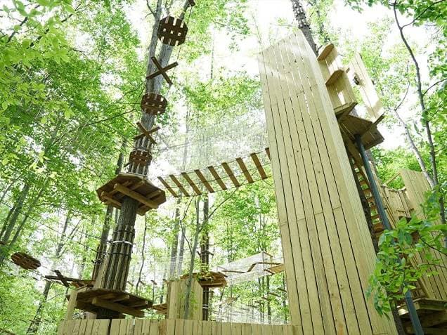 Springfield Treetop Discovery