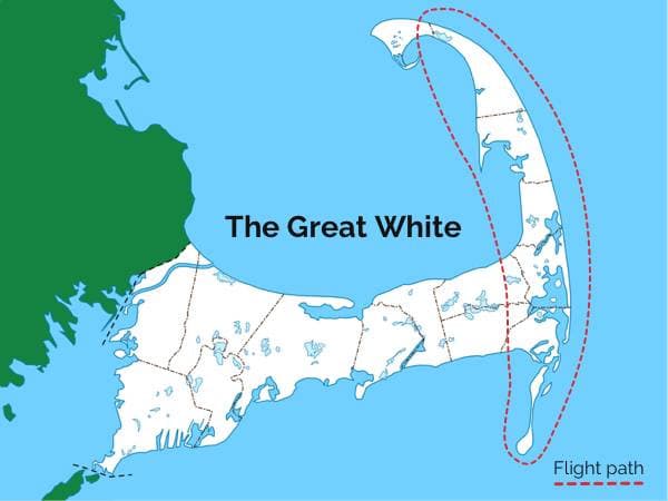 Stick'n Rudder Aero Tour - Great White