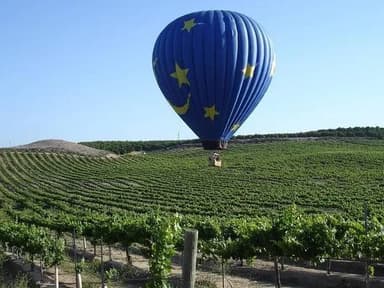 Temecula Shared Hot Air Balloon Ride — photo 1