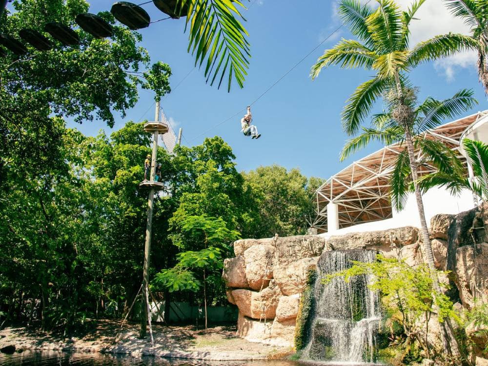 Thrill-Seeker Trek