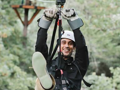 Tree Tops Tour — photo 1