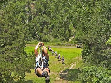 Treetop Express Tour — photo 1