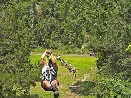 Treetop Express Tour