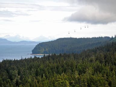 World’s Largest ZipRider — photo 2
