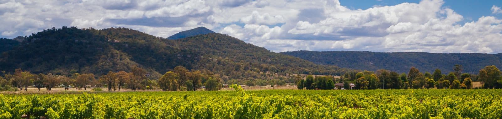 Hunter Valley