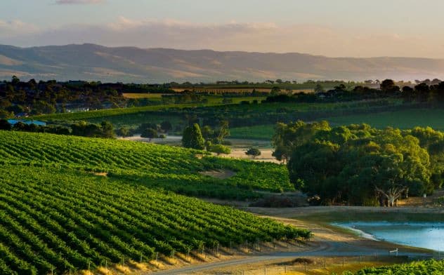McLaren Vale