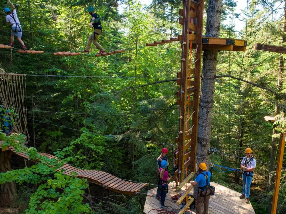 Aerial Park Treetop Adventure