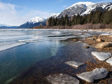 Alaska Seaplanes — photo 1