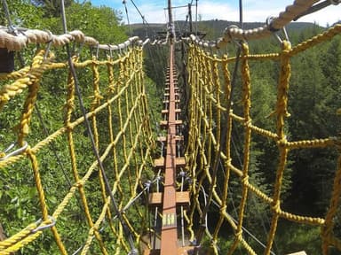 Amboy ZiplineX Experience — photo 1