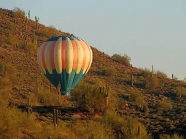 Apex Balloons — photo 1