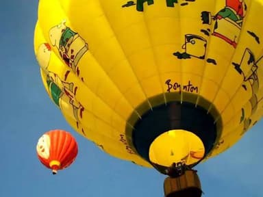 Arizona Balloon Safaris — photo 1