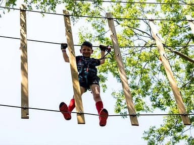 Arlington Treetop Journey — photo 1