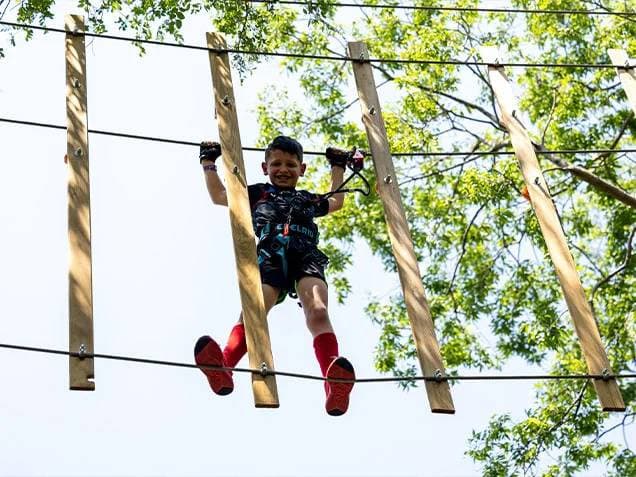 Arlington Treetop Journey